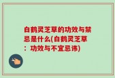 白鹤灵芝草的功效与禁忌是什么(白鹤灵芝草：功效与不宜忌讳)