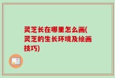 灵芝长在哪里怎么画(灵芝的生长环境及绘画技巧)