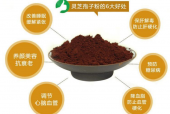灵芝孢子粉的禁忌都有哪些？学会这些效果加倍！