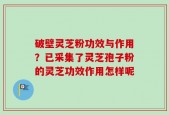 破壁灵芝粉功效与作用？已采集了灵芝孢子粉的灵芝功效作用怎样呢