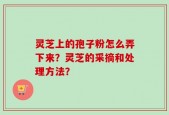 灵芝上的孢子粉怎么弄下来？灵芝的采摘和处理方法？