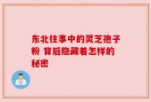 东北往事中的灵芝孢子粉 背后隐藏着怎样的秘密