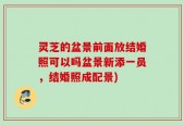 灵芝的盆景前面放结婚照可以吗盆景新添一员，结婚照成配景)