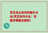 灵芝怎么炼丹的图片大全(灵芝炼丹大全：完整步骤图文解析)