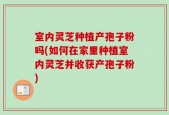 室内灵芝种植产孢子粉吗(如何在家里种植室内灵芝并收获产孢子粉)