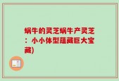 蜗牛的灵芝蜗牛产灵芝：小小体型蕴藏巨大宝藏)