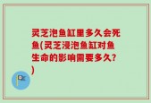 灵芝泡鱼缸里多久会死鱼(灵芝浸泡鱼缸对鱼生命的影响需要多久？)
