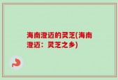 海南澄迈的灵芝(海南澄迈：灵芝之乡)