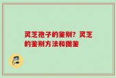 灵芝孢子的鉴别？灵芝的鉴别方法和图鉴