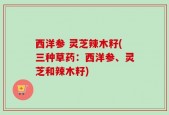西洋参 灵芝辣木籽(三种草药：西洋参、灵芝和辣木籽)