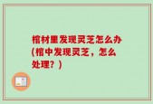 棺材里发现灵芝怎么办(棺中发现灵芝，怎么处理？)