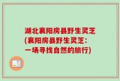 湖北襄阳房县野生灵芝(襄阳房县野生灵芝：一场寻找自然的旅行)