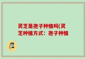 灵芝是孢子种植吗(灵芝种植方式：孢子种植