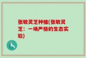 张敏灵芝种植(张敏灵芝：一场严格的生态实验)