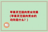 苹果灵芝圆肉煮水效果(苹果灵芝圆肉煮水的功效是什么？)