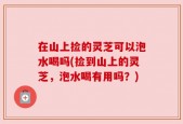 在山上捡的灵芝可以泡水喝吗(捡到山上的灵芝，泡水喝有用吗？)