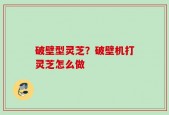 破壁型灵芝？破壁机打灵芝怎么做