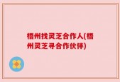 梧州找灵芝合作人(梧州灵芝寻合作伙伴)