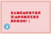 怎么确实山野是不是灵芝(山野采集灵芝是否真的有功效？)