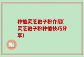 种植灵芝孢子粉介绍(灵芝孢子粉种植技巧分享)