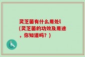 灵芝菌有什么用处l (灵芝菌的功效及用途，你知道吗？)