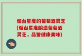 烟台星度的葡萄酒灵芝(烟台星度酿造葡萄酒灵芝，品鉴健康美味)