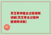 灵芝草种植全过程视频讲解(灵芝草全过程种植视频详解)