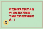 灵芝种植生态园怎么样啊(探秘灵芝种植园，了解灵芝的生态种植方式！)
