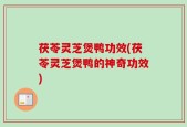 茯苓灵芝煲鸭功效(茯苓灵芝煲鸭的神奇功效)