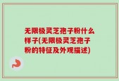 无限极灵芝孢子粉什么样子(无限极灵芝孢子粉的特征及外观描述)