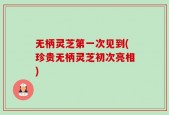 无柄灵芝第一次见到(珍贵无柄灵芝初次亮相)