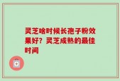 灵芝啥时候长孢子粉效果好？灵芝成熟的最佳时间