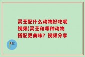 灵芝配什么动物好吃呢视频(灵芝和哪种动物搭配更美味？视频分享
