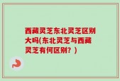 西藏灵芝东北灵芝区别大吗(东北灵芝与西藏灵芝有何区别？)