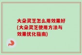 大朵灵芝怎么用效果好(大朵灵芝使用方法与效果优化指南)