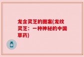 龙含灵芝的图案(龙纹灵芝：一种神秘的中国草药)