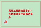 灵芝三萜最高是多少？长白山灵芝三萜高达多少