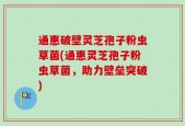 通惠破壁灵芝孢子粉虫草菌(通惠灵芝孢子粉虫草菌，助力壁垒突破)
