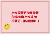 小伙采灵芝70斤视频在线观看(小伙采70斤灵芝，挑战极限！)