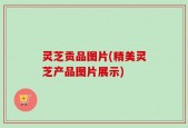 灵芝贡品图片(精美灵芝产品图片展示)