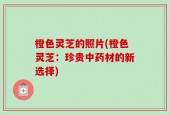 橙色灵芝的照片(橙色灵芝：珍贵中药材的新选择)