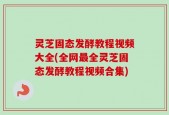 灵芝固态发酵教程视频大全(全网最全灵芝固态发酵教程视频合集)