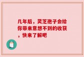 几年后，灵芝孢子会给你带来意想不到的收获，快来了解吧