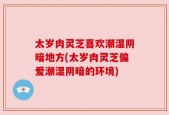太岁肉灵芝喜欢潮湿阴暗地方(太岁肉灵芝偏爱潮湿阴暗的环境)