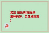 灵芝 阳光房(阳光房里种药好，灵芝成新宠)