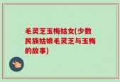 毛灵芝玉梅姑女(少数民族姑娘毛灵芝与玉梅的故事)