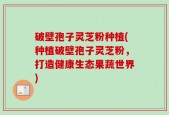 破壁孢子灵芝粉种植(种植破壁孢子灵芝粉，打造健康生态果蔬世界)