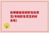 在哪里能找到野生的灵芝(寻找野生灵芝的好去处)