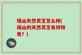 瑶山天然灵芝怎么样(瑶山的天然灵芝有何特色？)