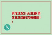 灵芝王配什么泡酒(灵芝王佐酒的完美搭配！)